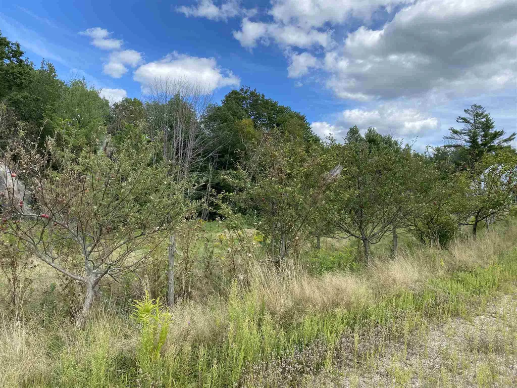 76 Valley Road Alton NH 03809