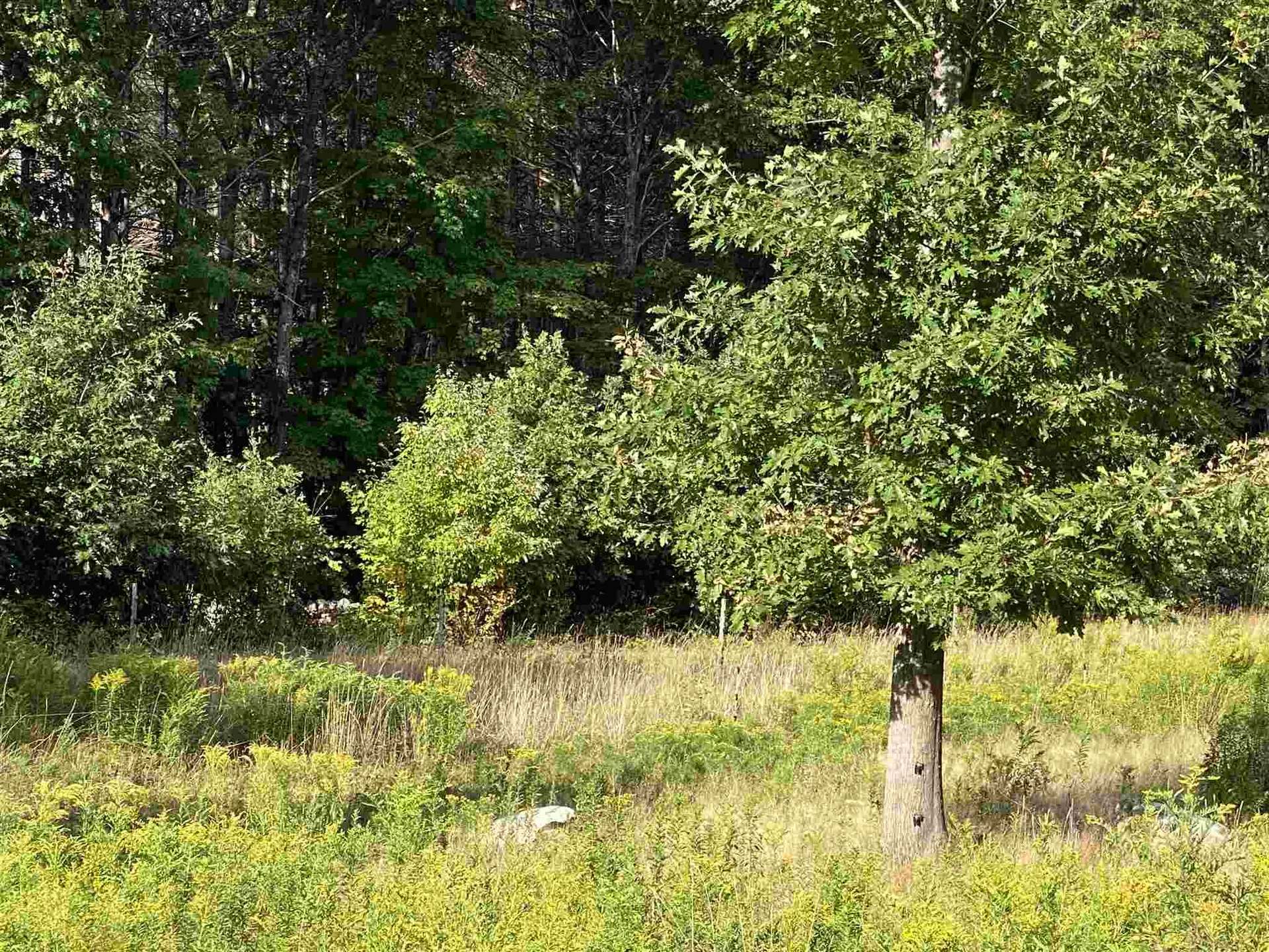 76 Valley Road Alton NH 03809