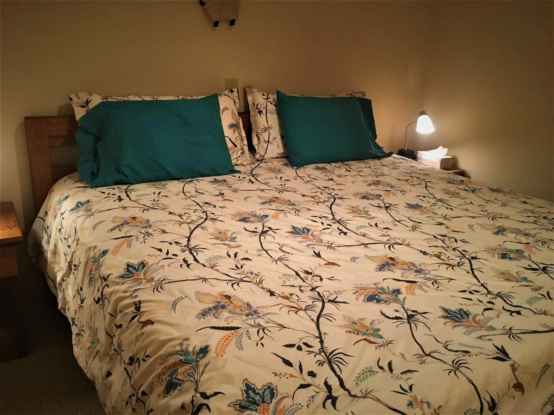 41 Woodbury Drive Bristol NH 03222