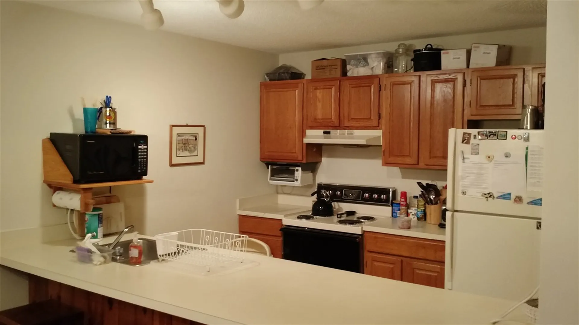 41 Woodbury Drive Bristol NH 03222