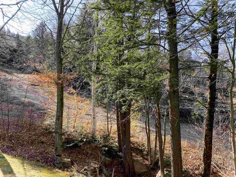 243 Cow Hill Road Bartlett NH 03812