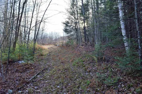 543 Masters Road Maidstone VT 05905