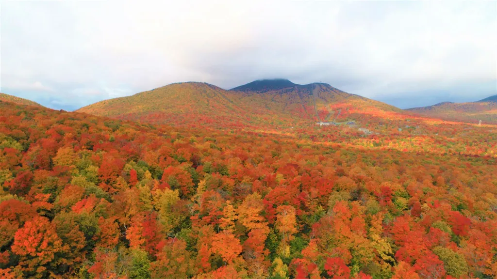 - Shallowbrook Road Jay VT 05859