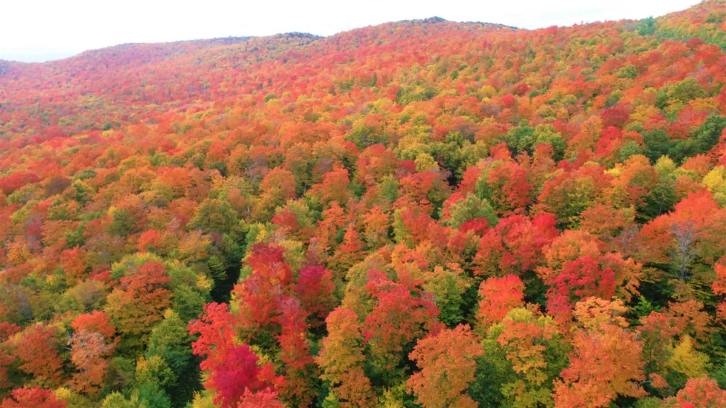 - Shallowbrook Road Jay VT 05859