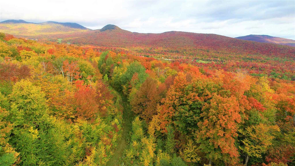 - Shallowbrook Road Jay VT 05859