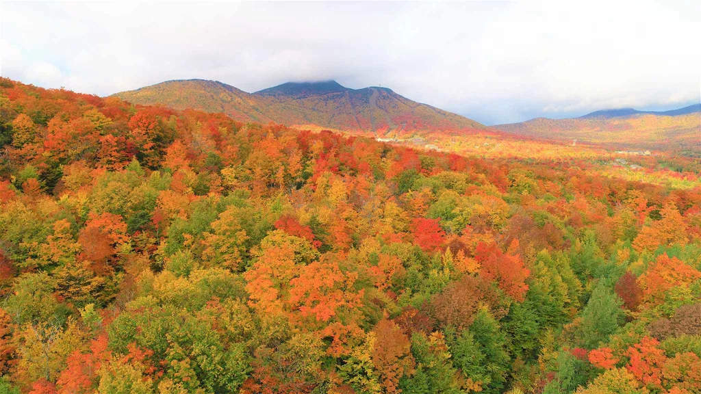 - Shallowbrook Road Jay VT 05859