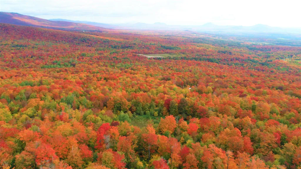 - Shallowbrook Road Jay VT 05859