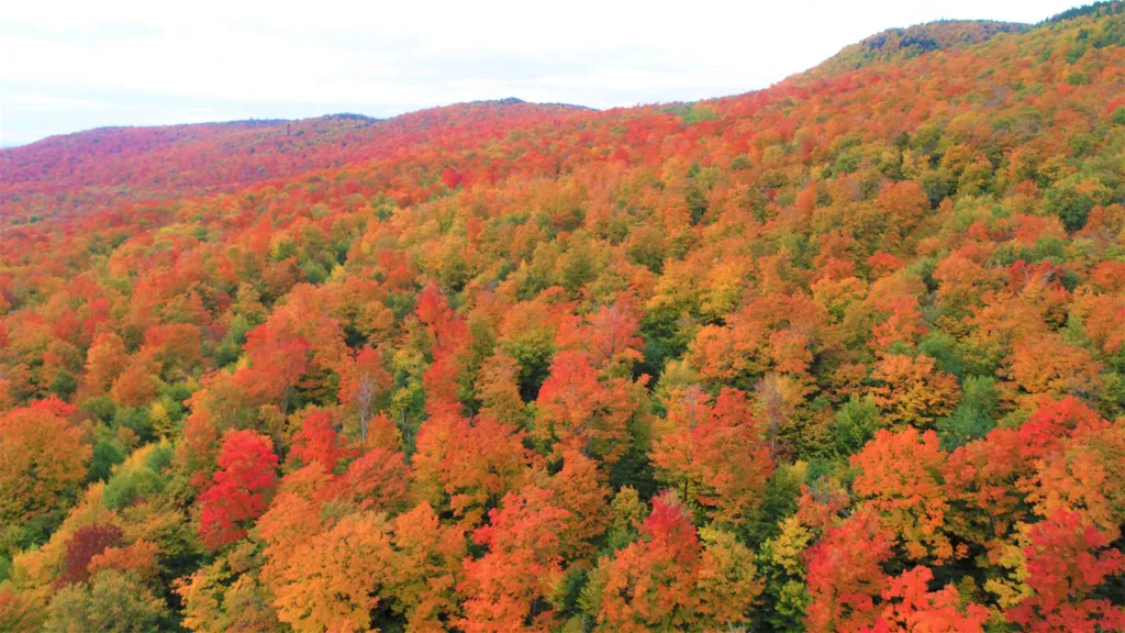 - Shallowbrook Road Jay VT 05859