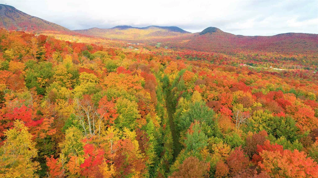 - Shallowbrook Road Jay VT 05859