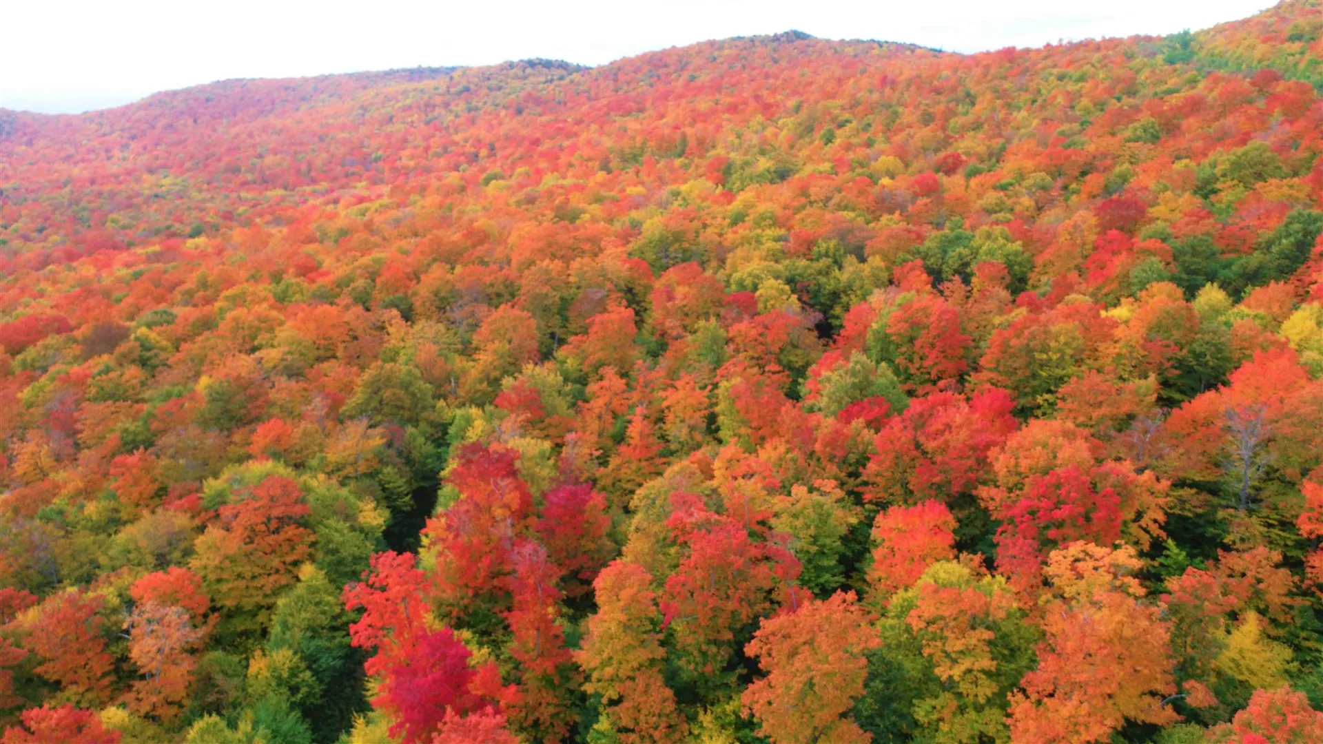 - Shallowbrook Road Jay VT 05859