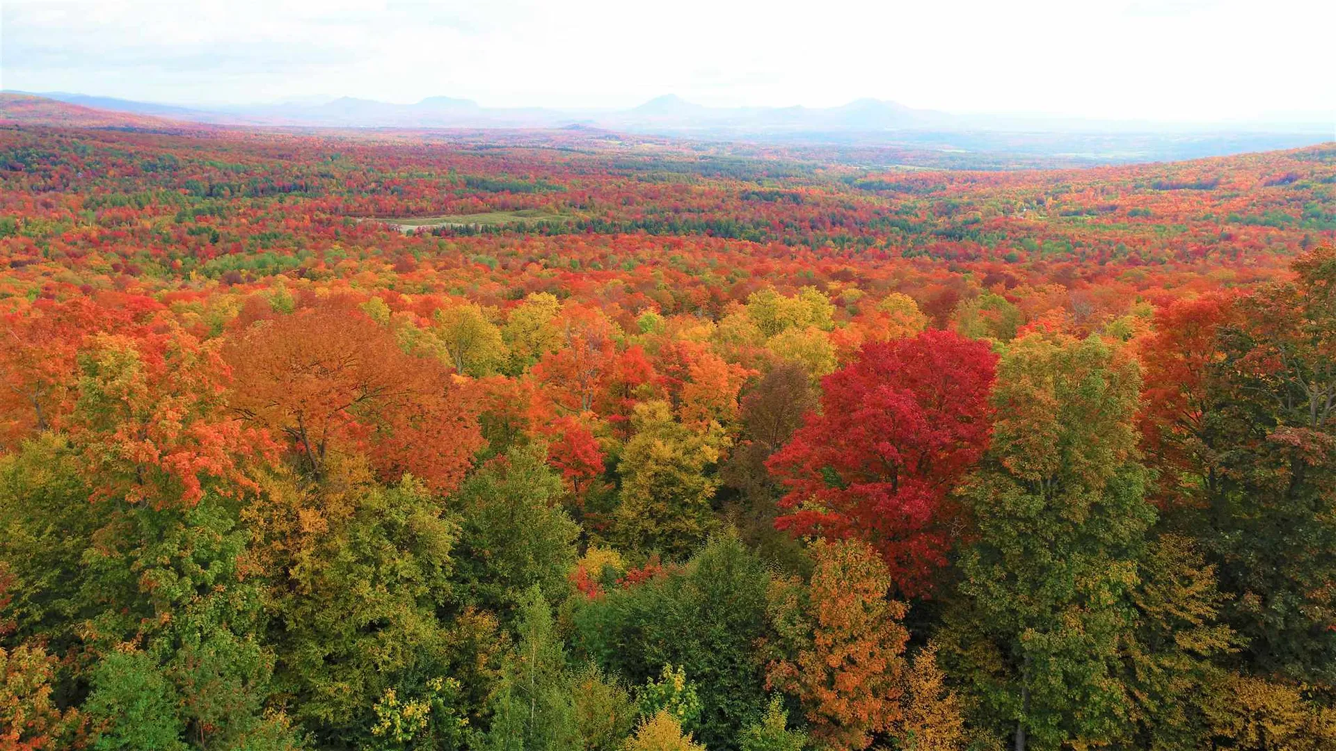 - Shallowbrook Road Jay VT 05859
