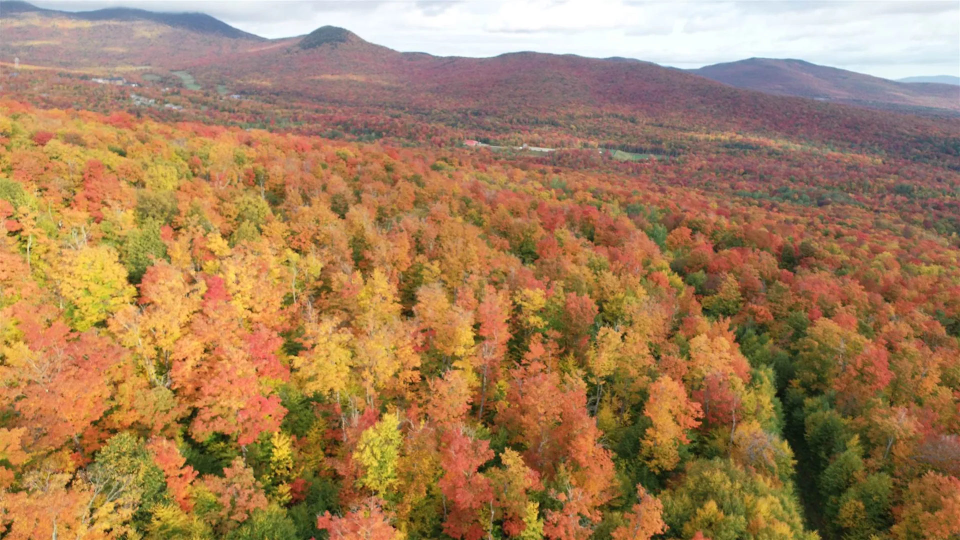 - Shallowbrook Road Jay VT 05859