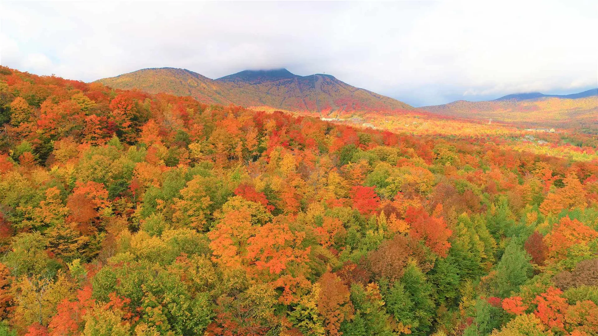 - Shallowbrook Road Jay VT 05859