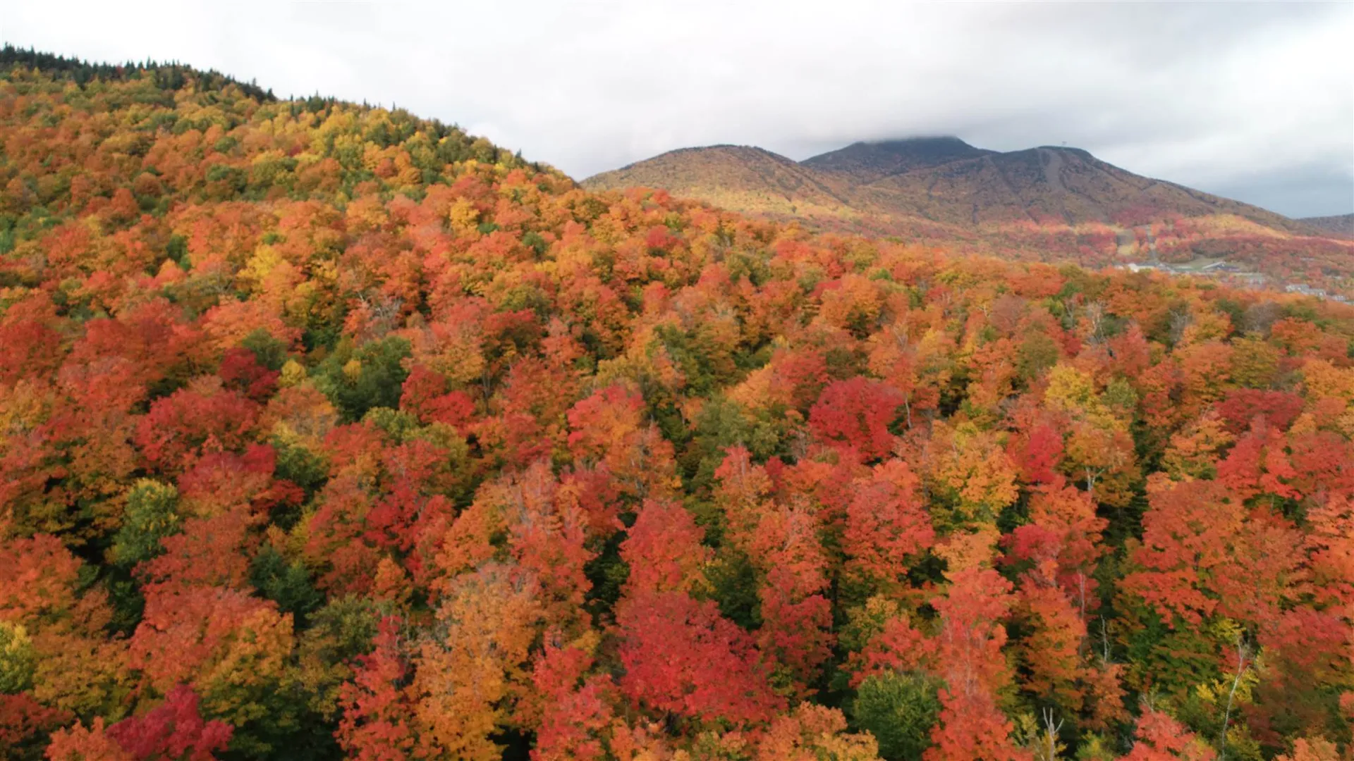 - Shallowbrook Road Jay VT 05859