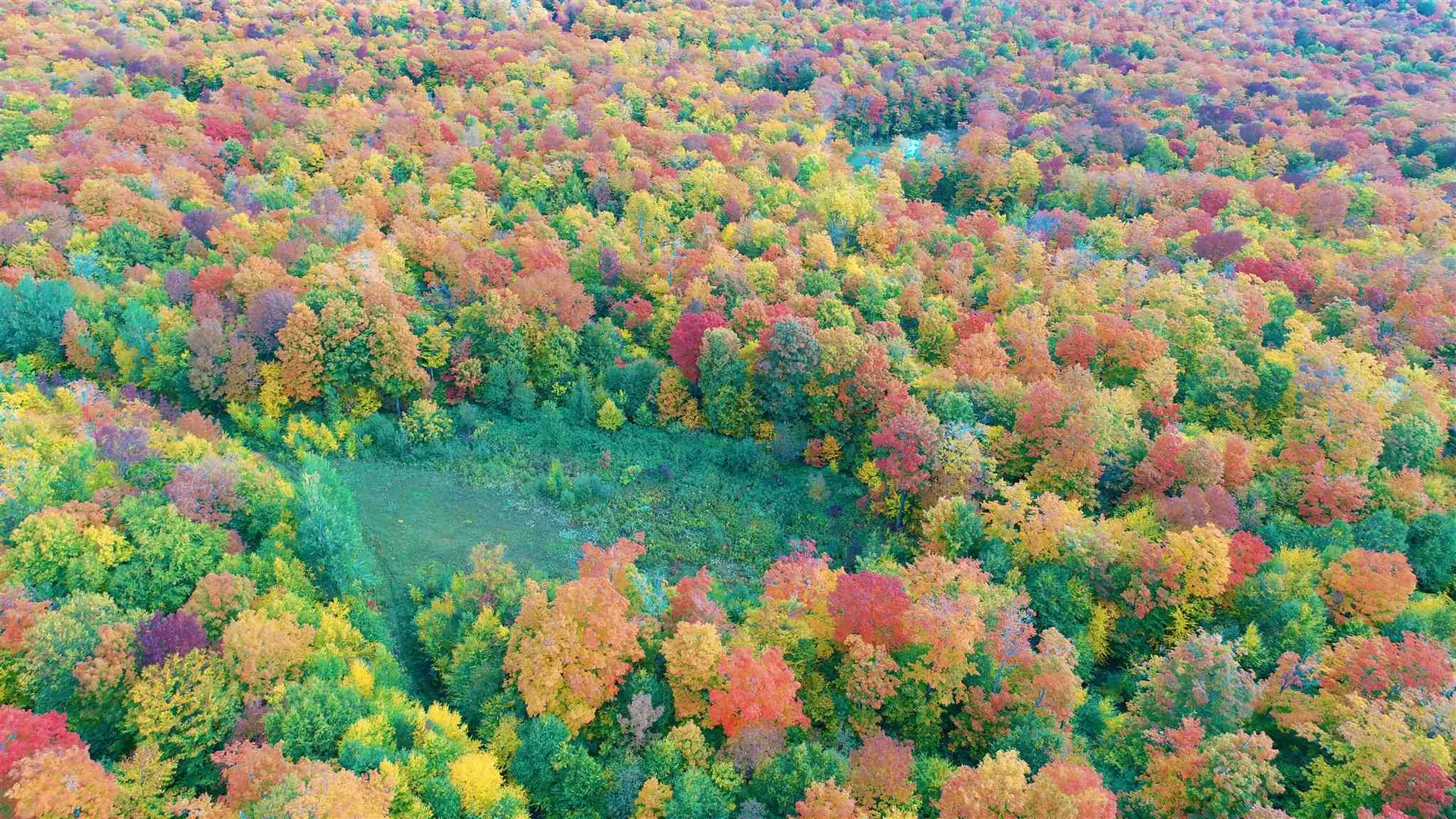 - Shallowbrook Road Jay VT 05859