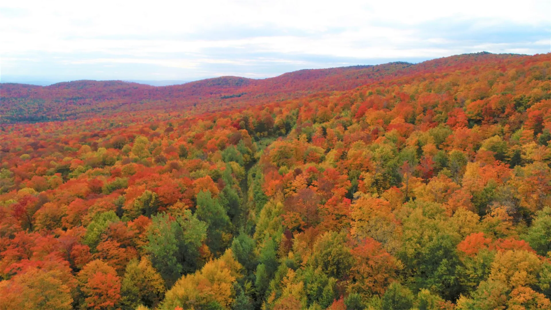 - Shallowbrook Road Jay VT 05859