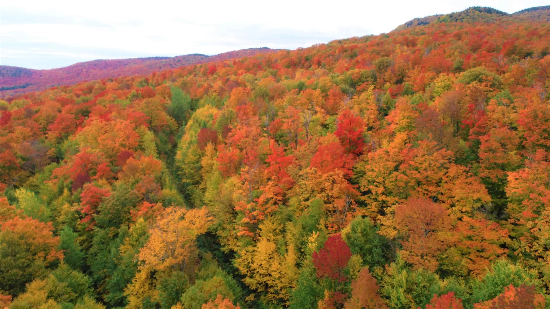 - Shallowbrook Road Jay VT 05859