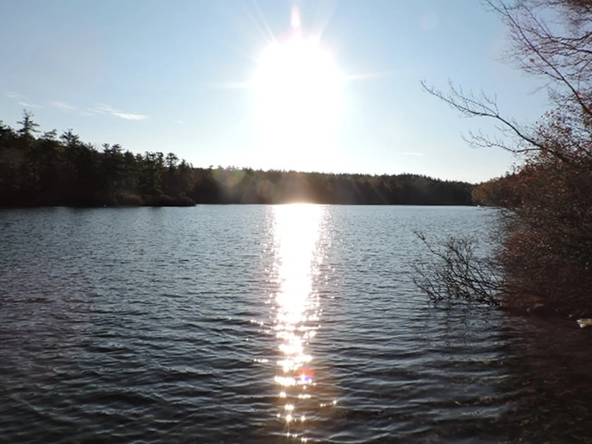 24 Mount William Pond Road Weare NH 03281