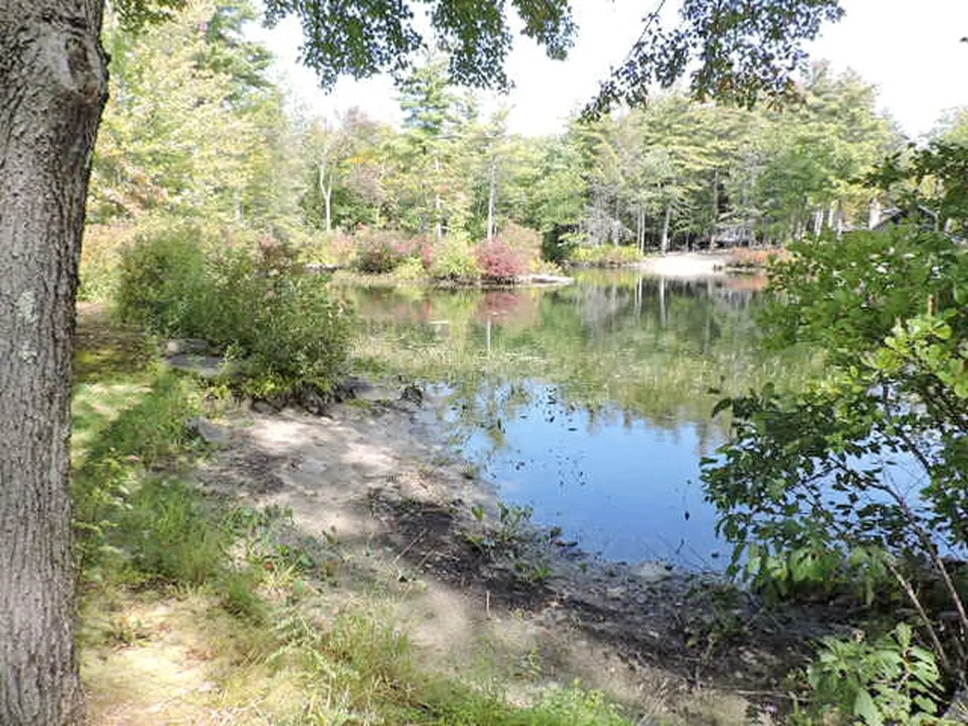 24 Mount William Pond Road Weare NH 03281