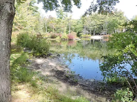 24 Mount William Pond Road Weare NH 03281