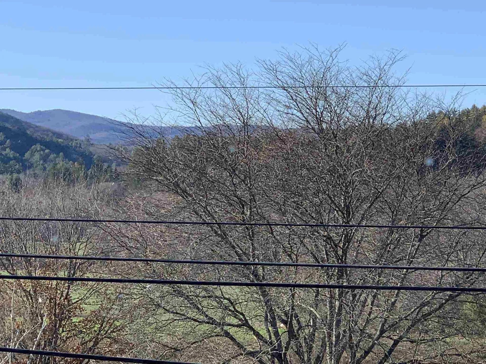442 East Woodstock Road Woodstock VT 05091