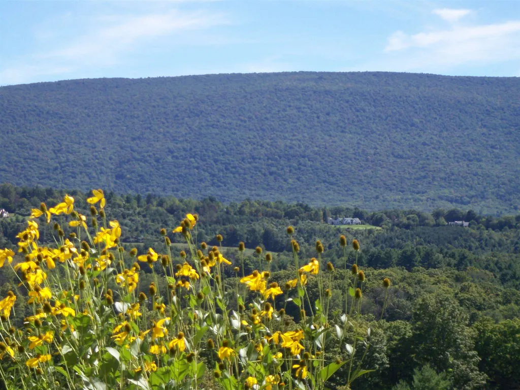Lot 4 Partridge Hill Manchester VT 05255