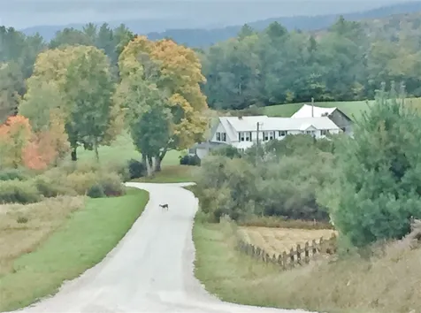 953 East Lake Road Ludlow VT 05149