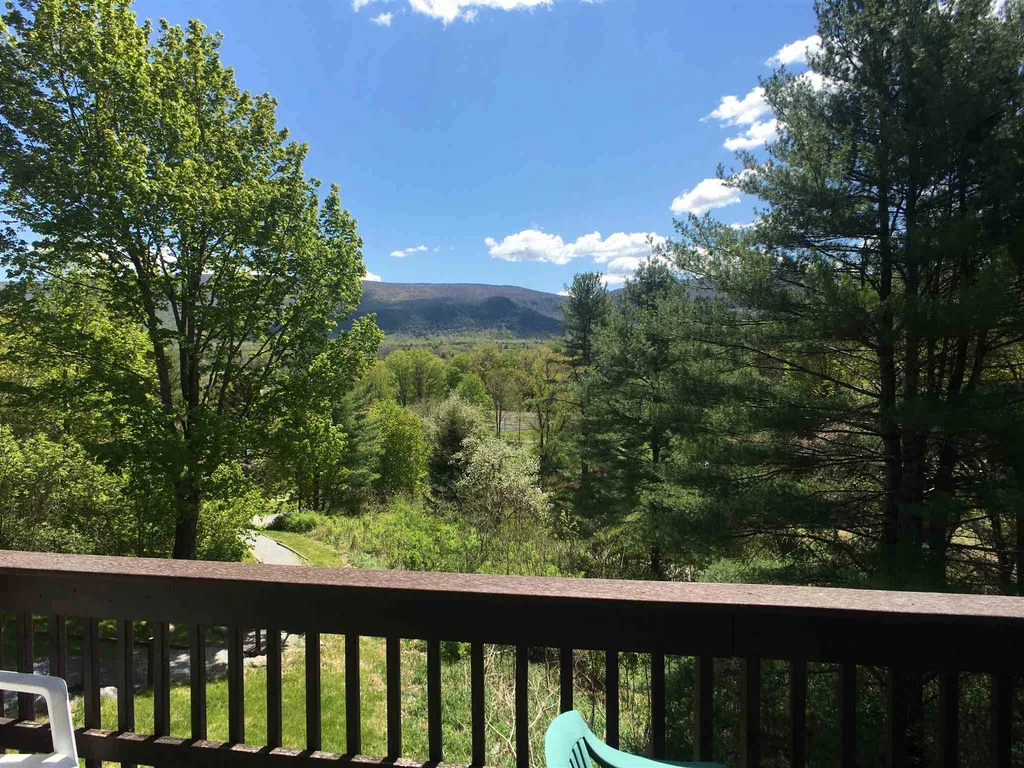 59-30 Murray Hill Heights Manchester VT 05255