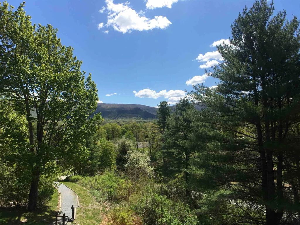 59-30 Murray Hill Heights Manchester VT 05255