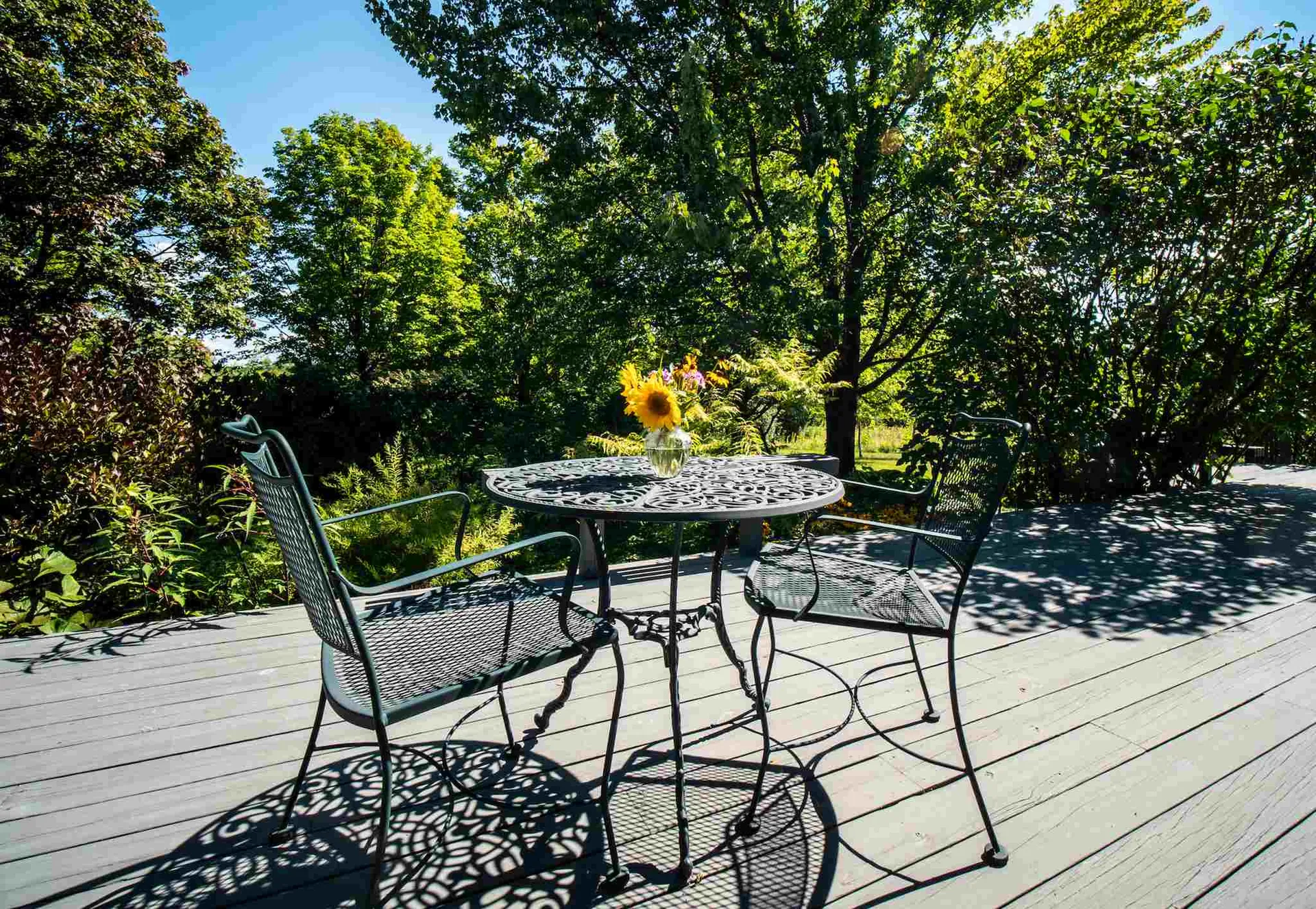 5296 Dorset Street Shelburne VT 05482