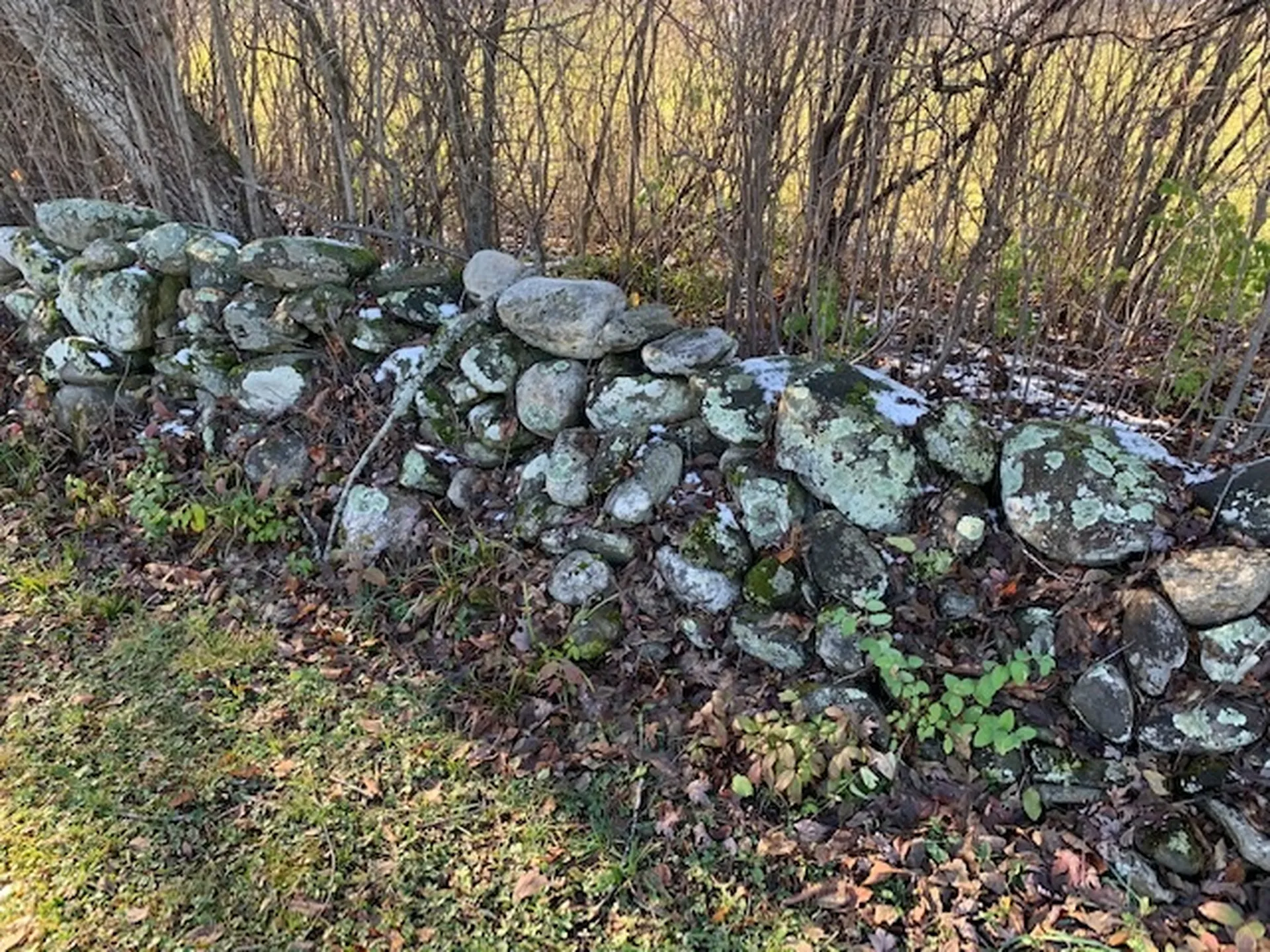 101 Westmont Way Woodstock VT 05091
