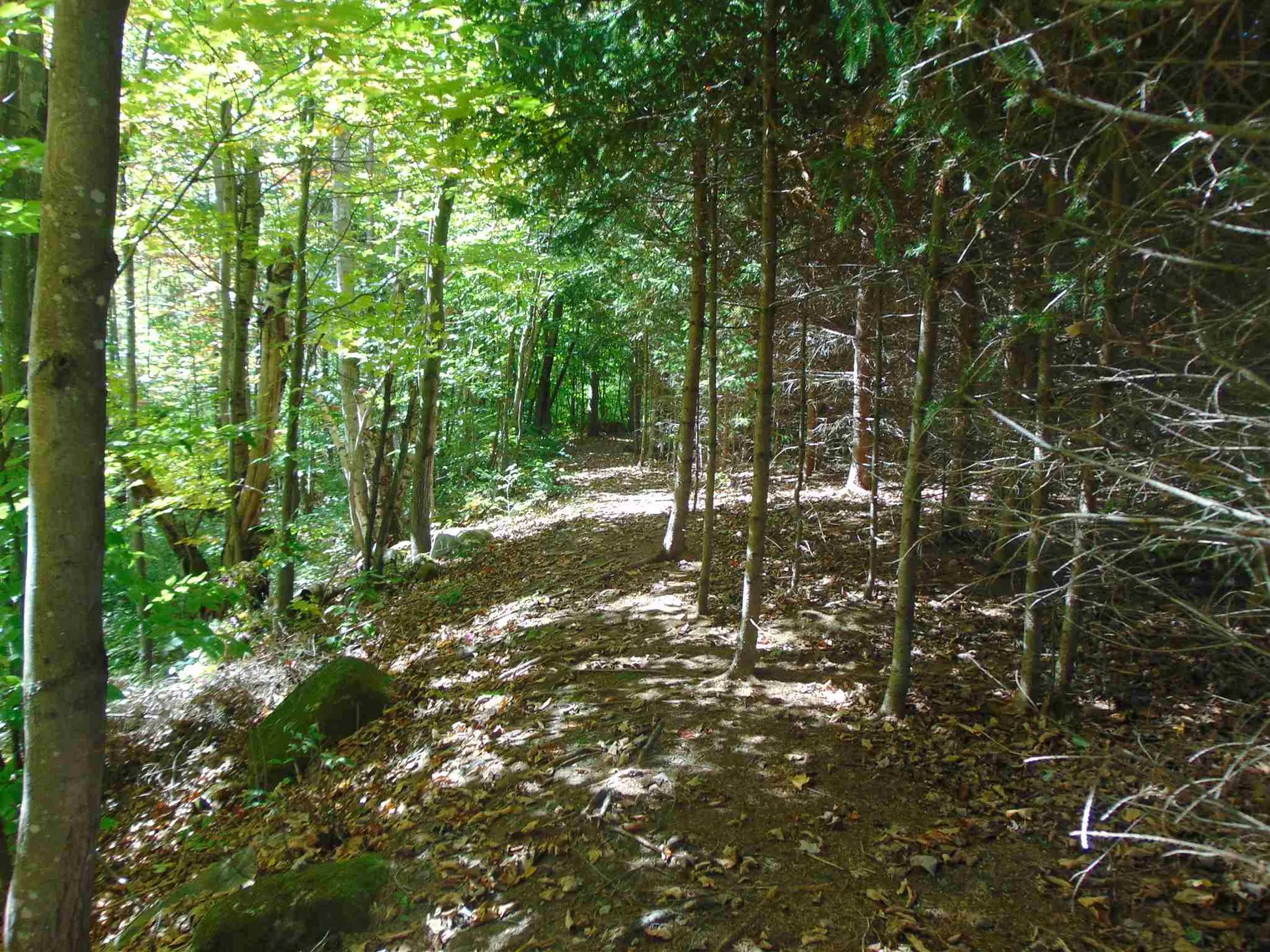 101 Westmont Way Woodstock VT 05091