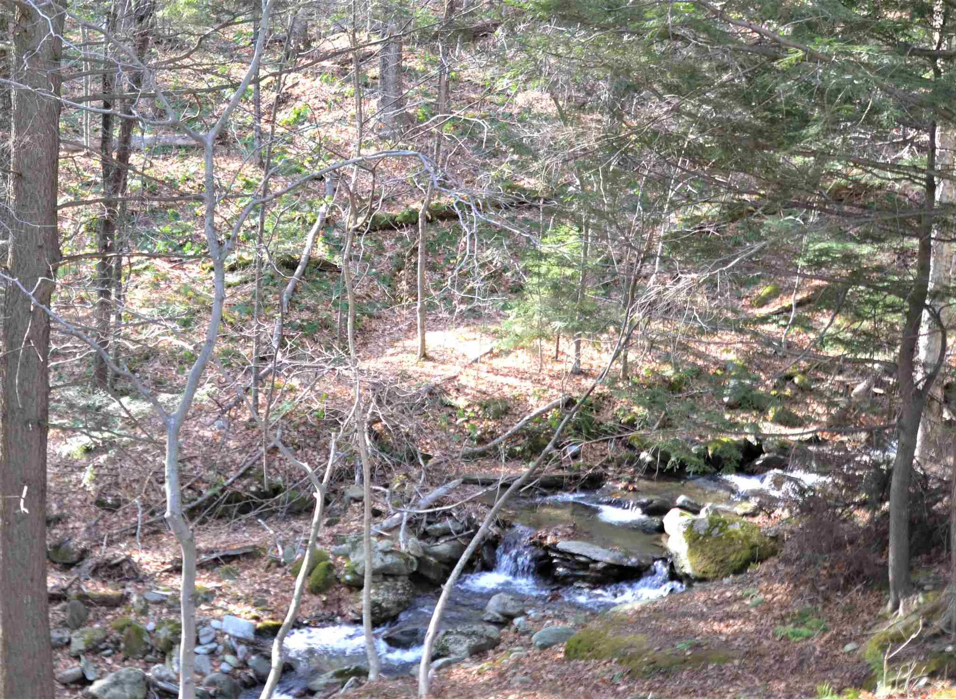 149 Upper Village Road Warren VT 05674