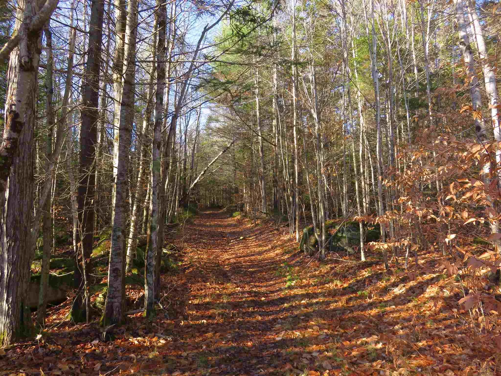 1856 Nh Route 4a Grafton NH 03240