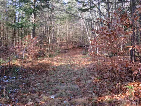 1856 Nh Route 4a Grafton NH 03240