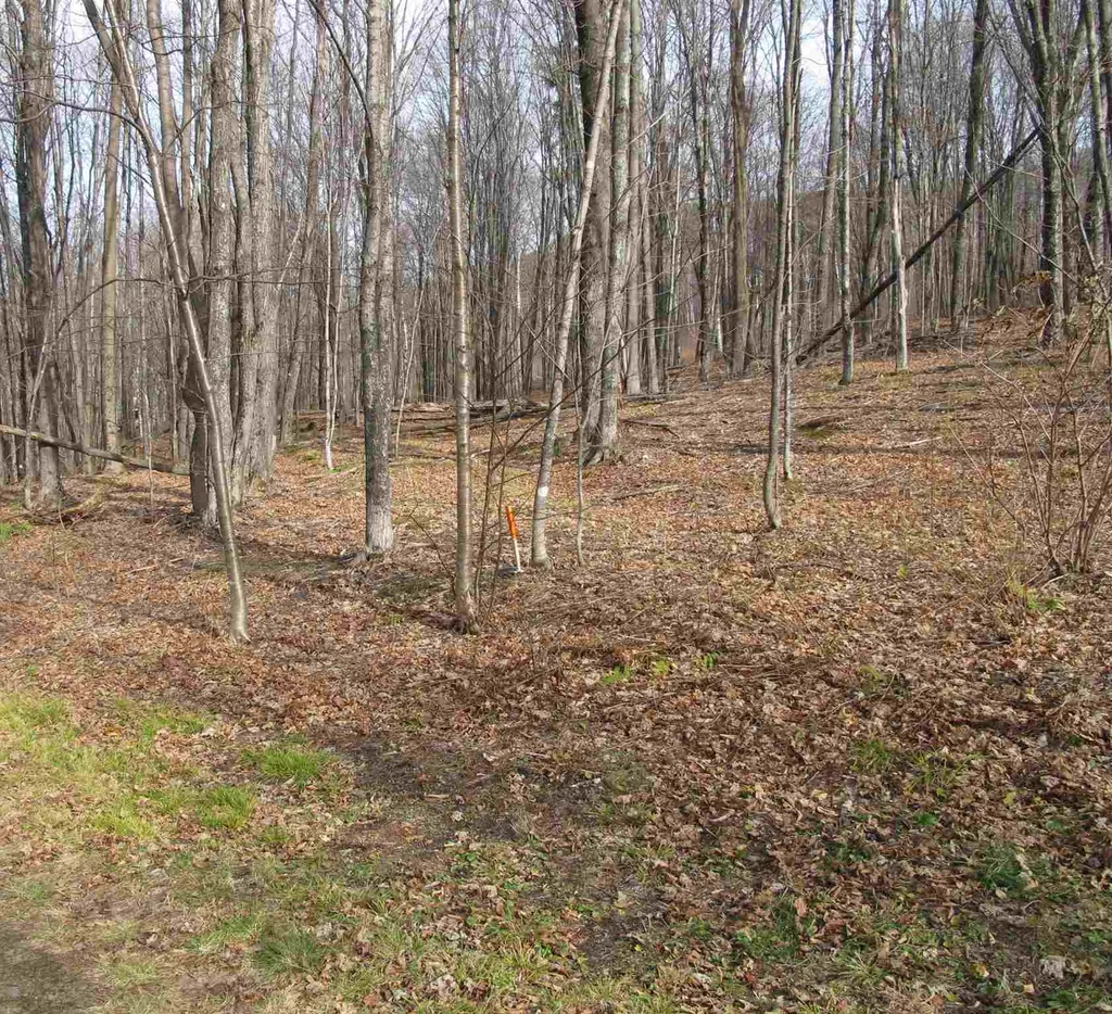 H-7 Orchard Road Warren VT 05674