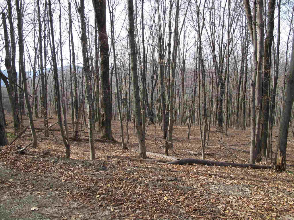 H-7 Orchard Road Warren VT 05674