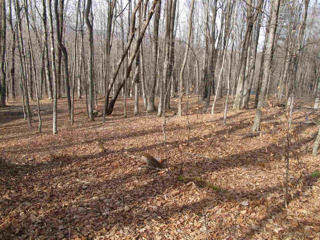 H-7 Orchard Road Warren VT 05674