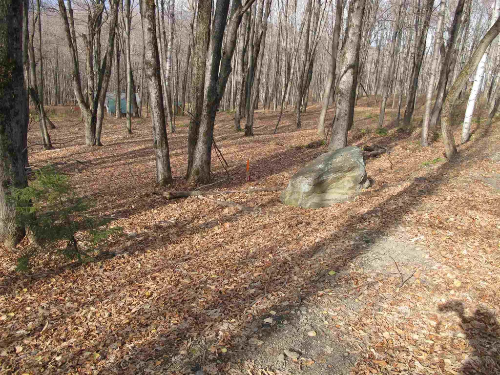 H-7 Orchard Road Warren VT 05674