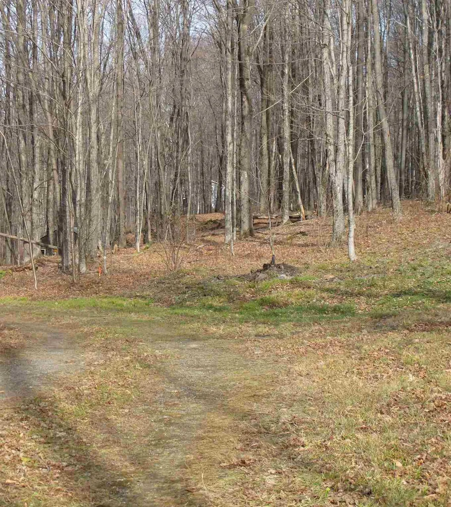 H-7 Orchard Road Warren VT 05674