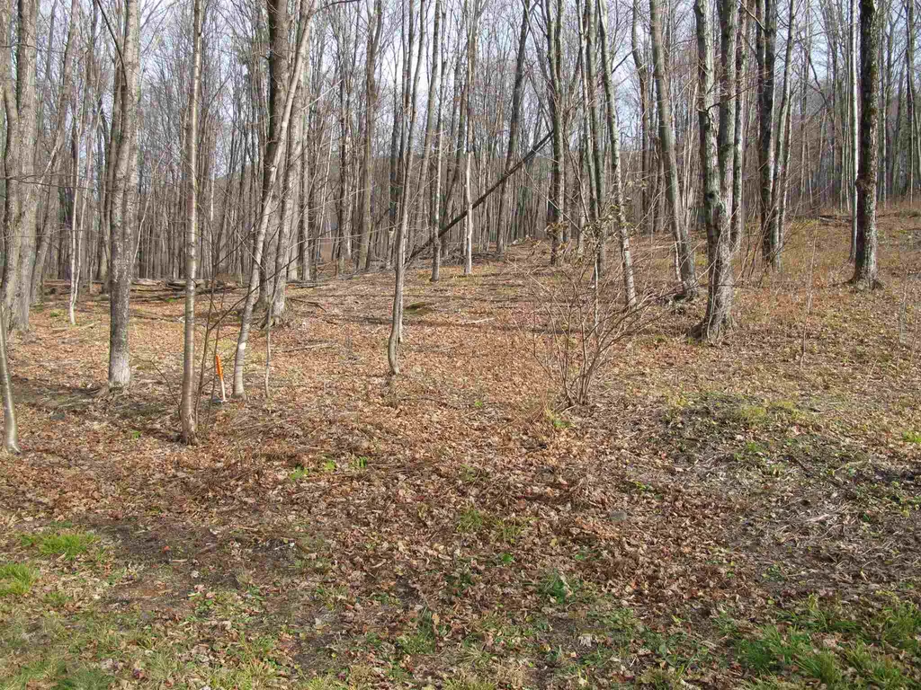 H-7 Orchard Road Warren VT 05674