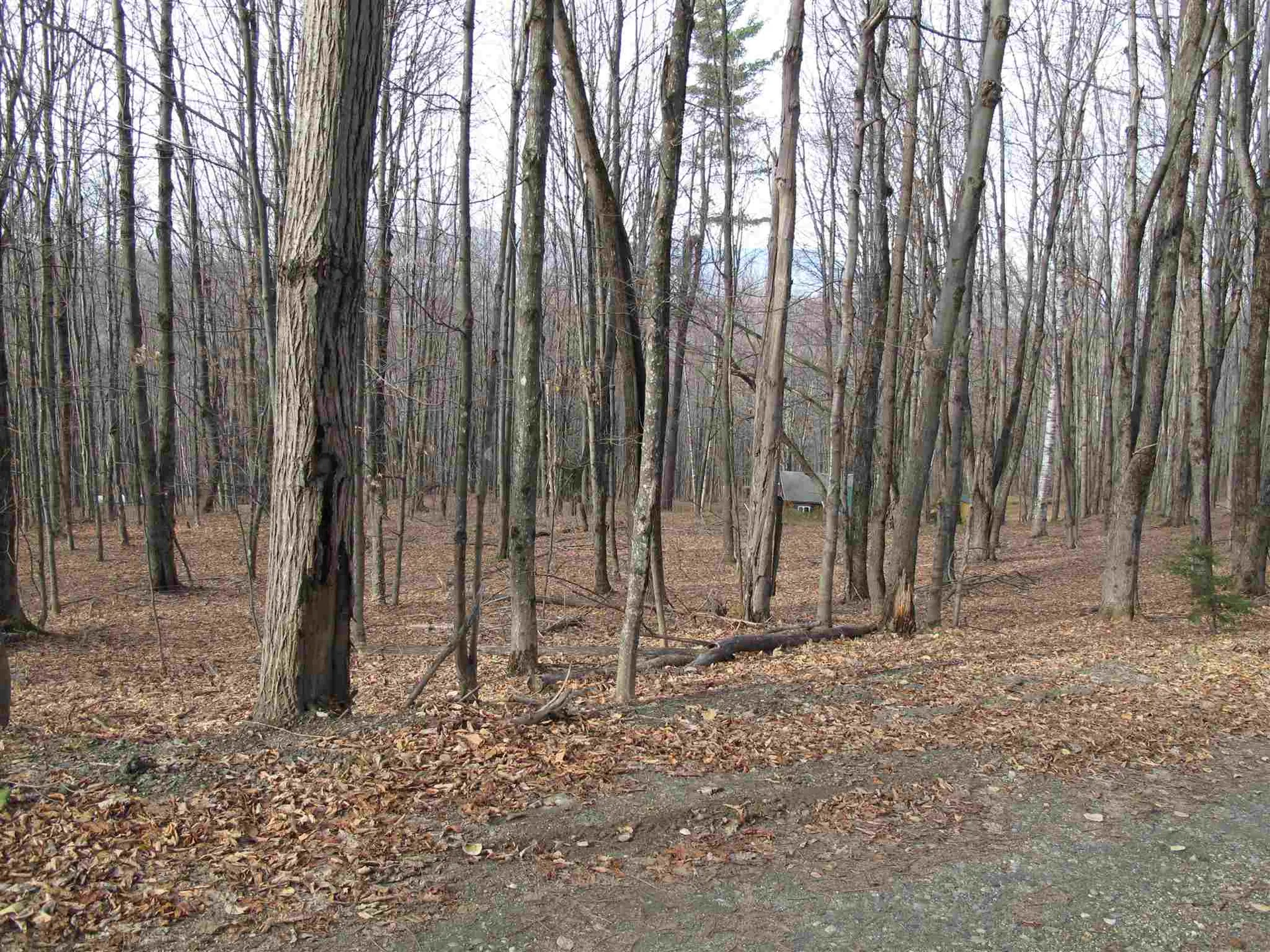 H-7 Orchard Road Warren VT 05674