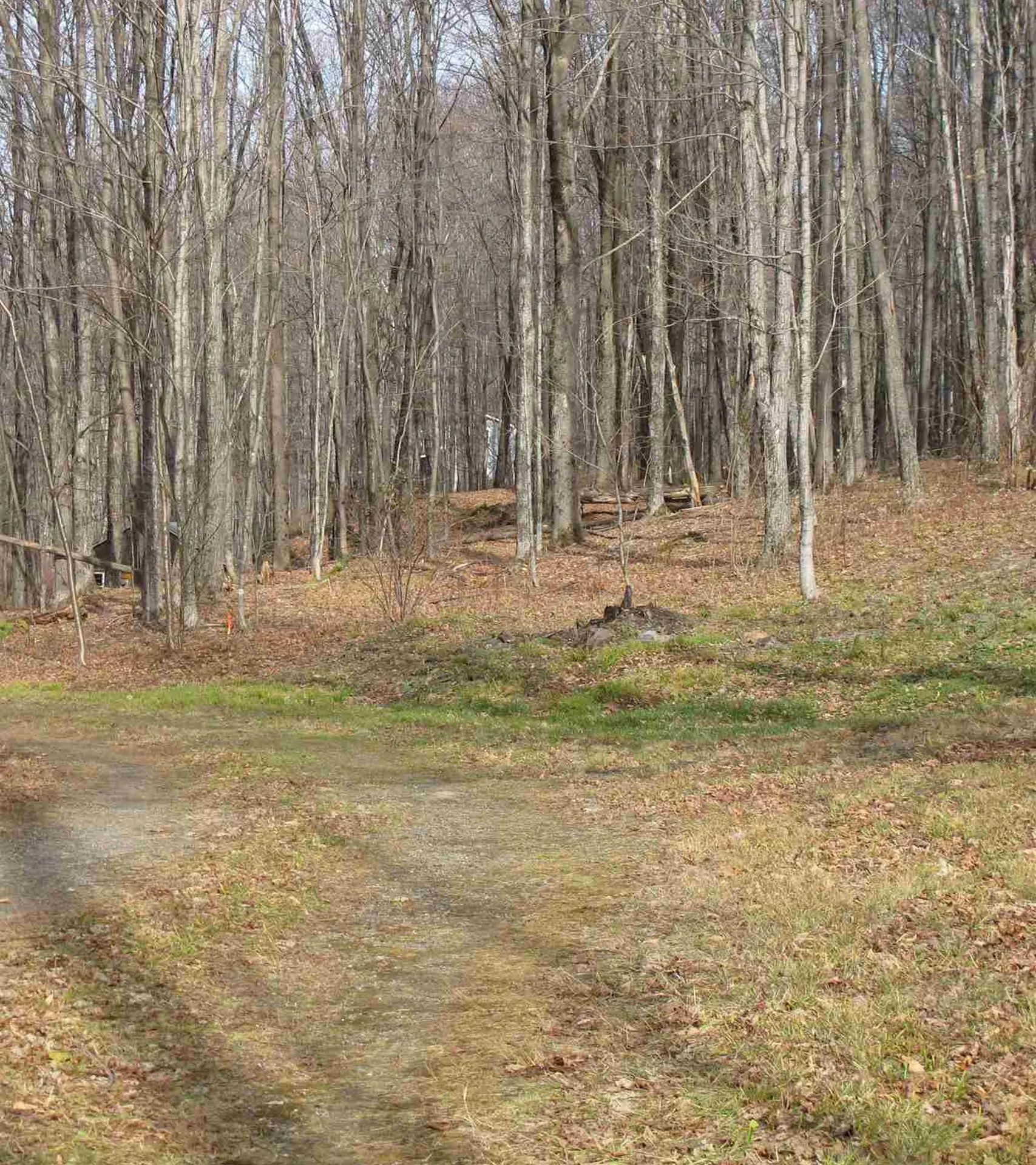 H-7 Orchard Road Warren VT 05674