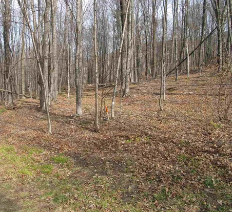 H-7 Orchard Road Warren VT 05674