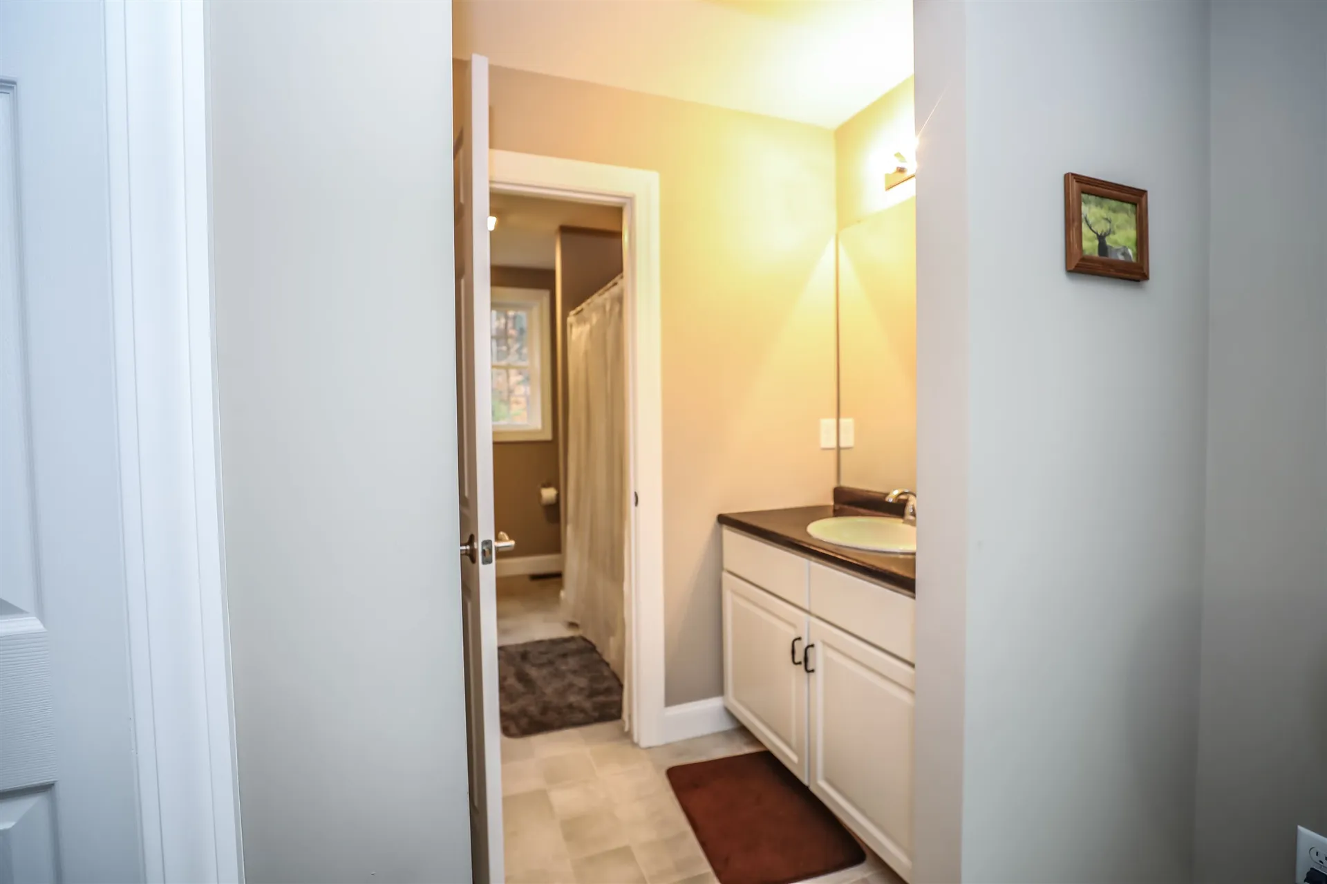 20 Overlook Drive Dunbarton NH 03046