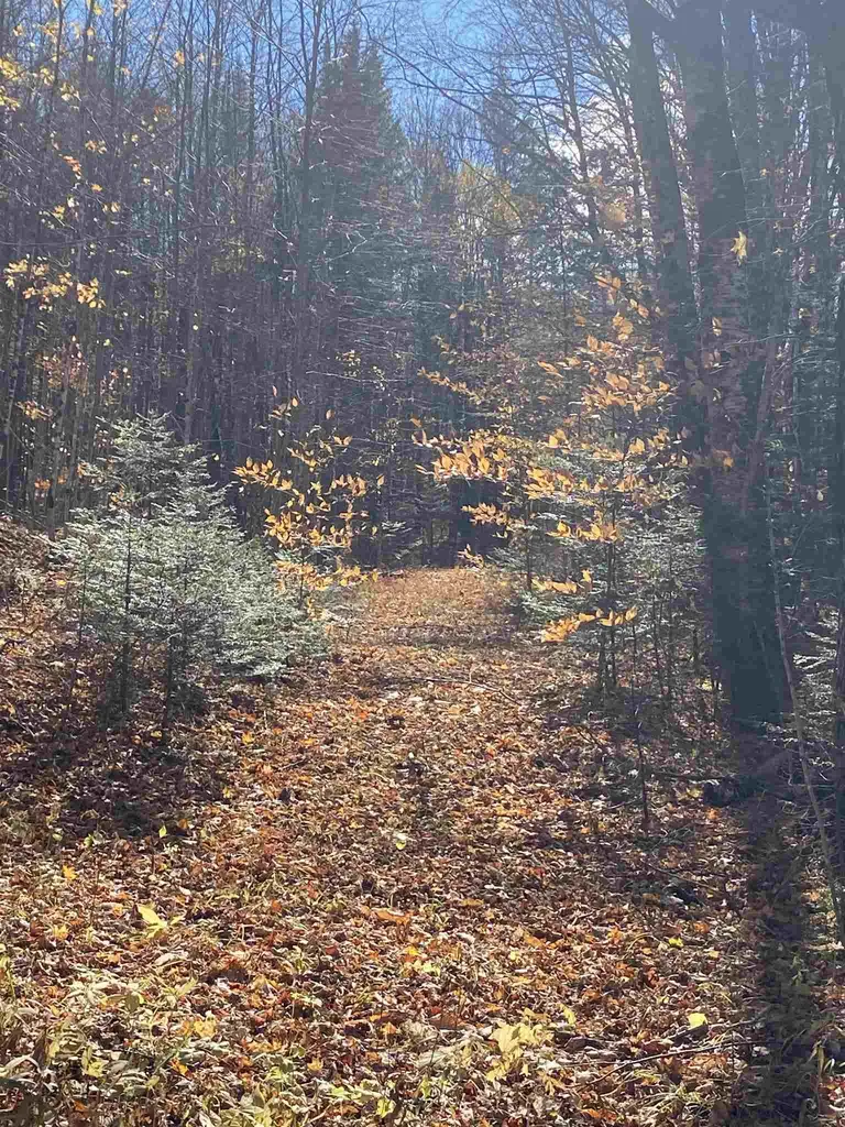 1350 Backway Road Corinth VT 05039