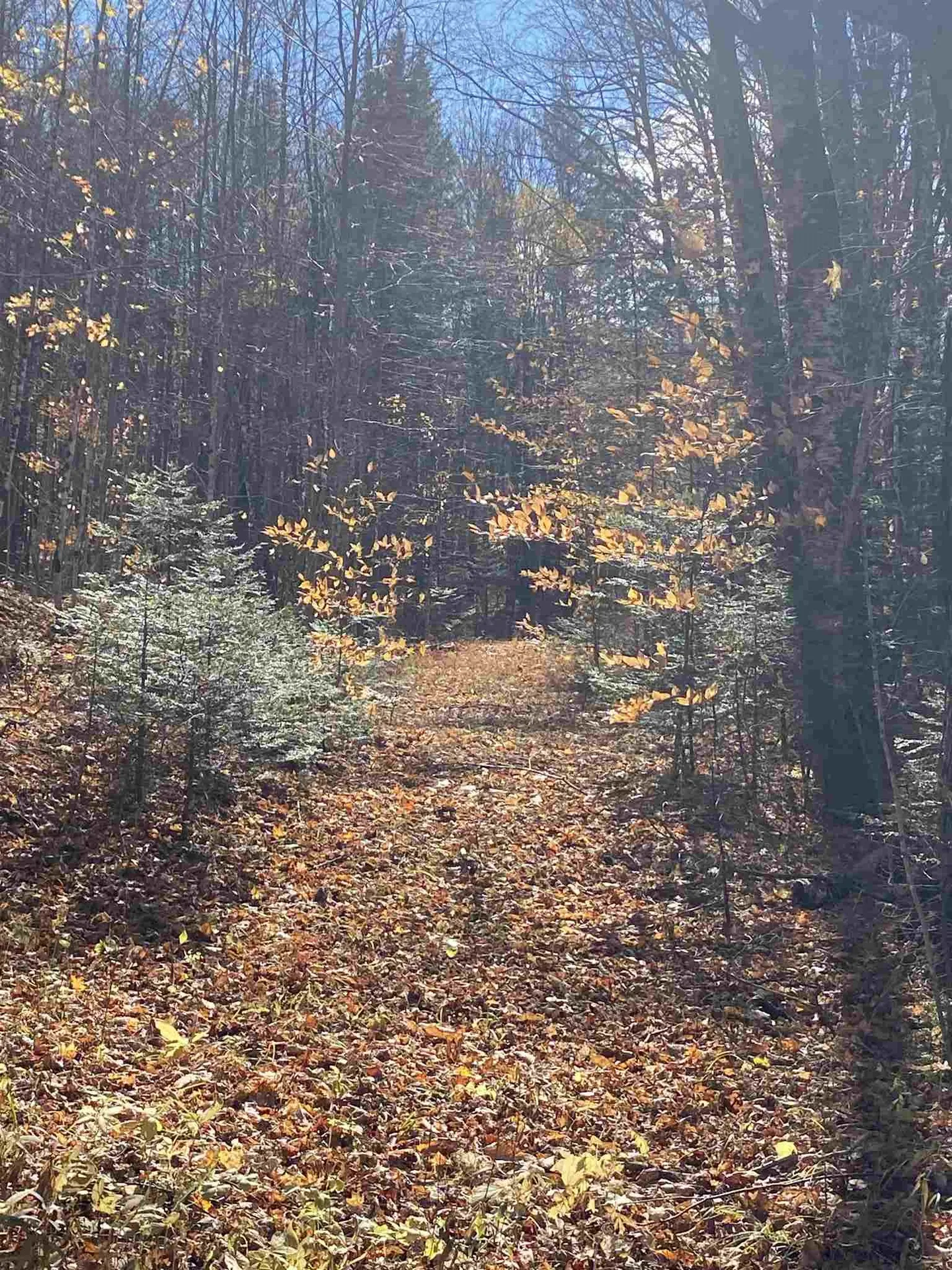 1350 Backway Road Corinth VT 05039