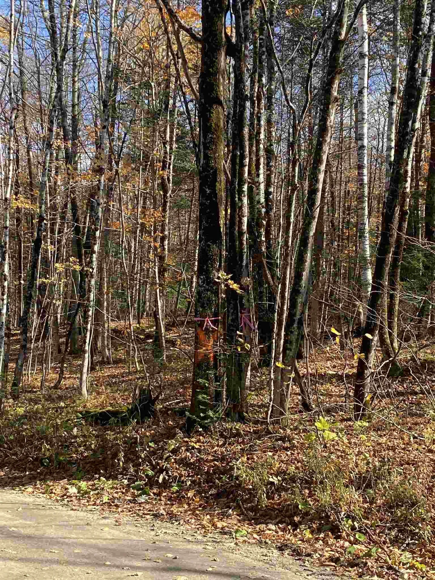 1350 Backway Road Corinth VT 05039