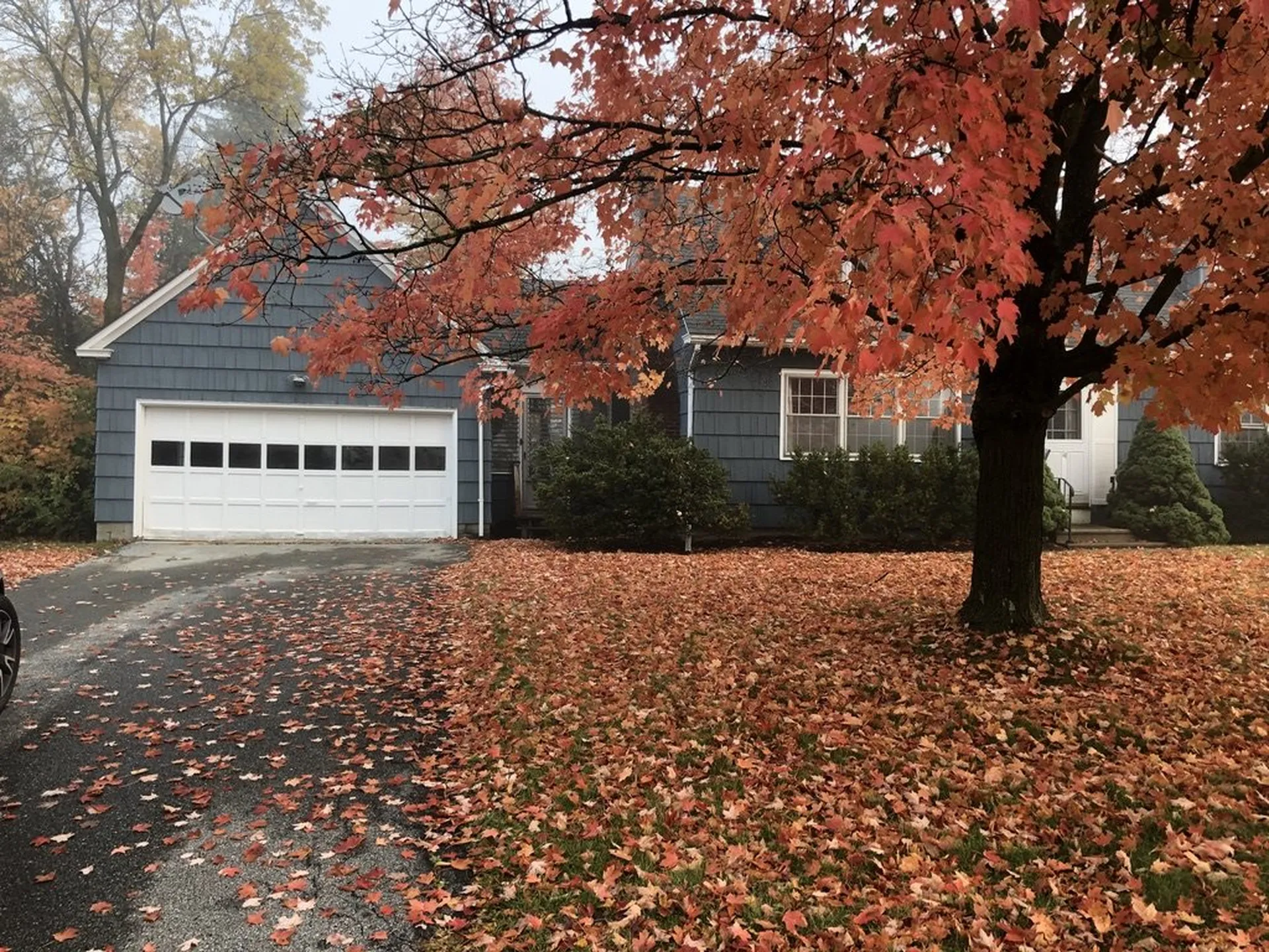 14 Danyow Drive Middlebury VT 05753