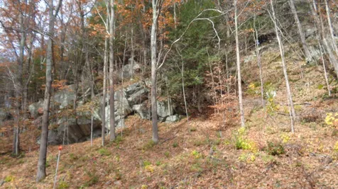 600 North Main Street Bethel VT 05032